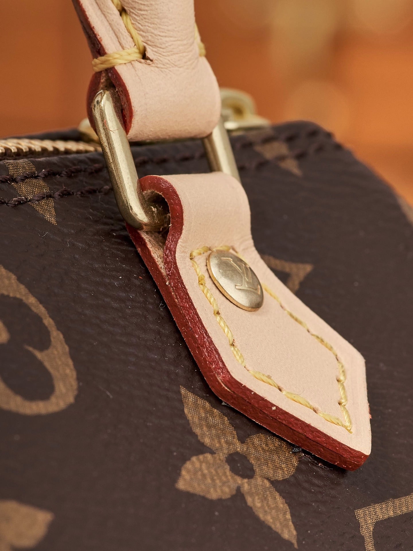 LV Bag