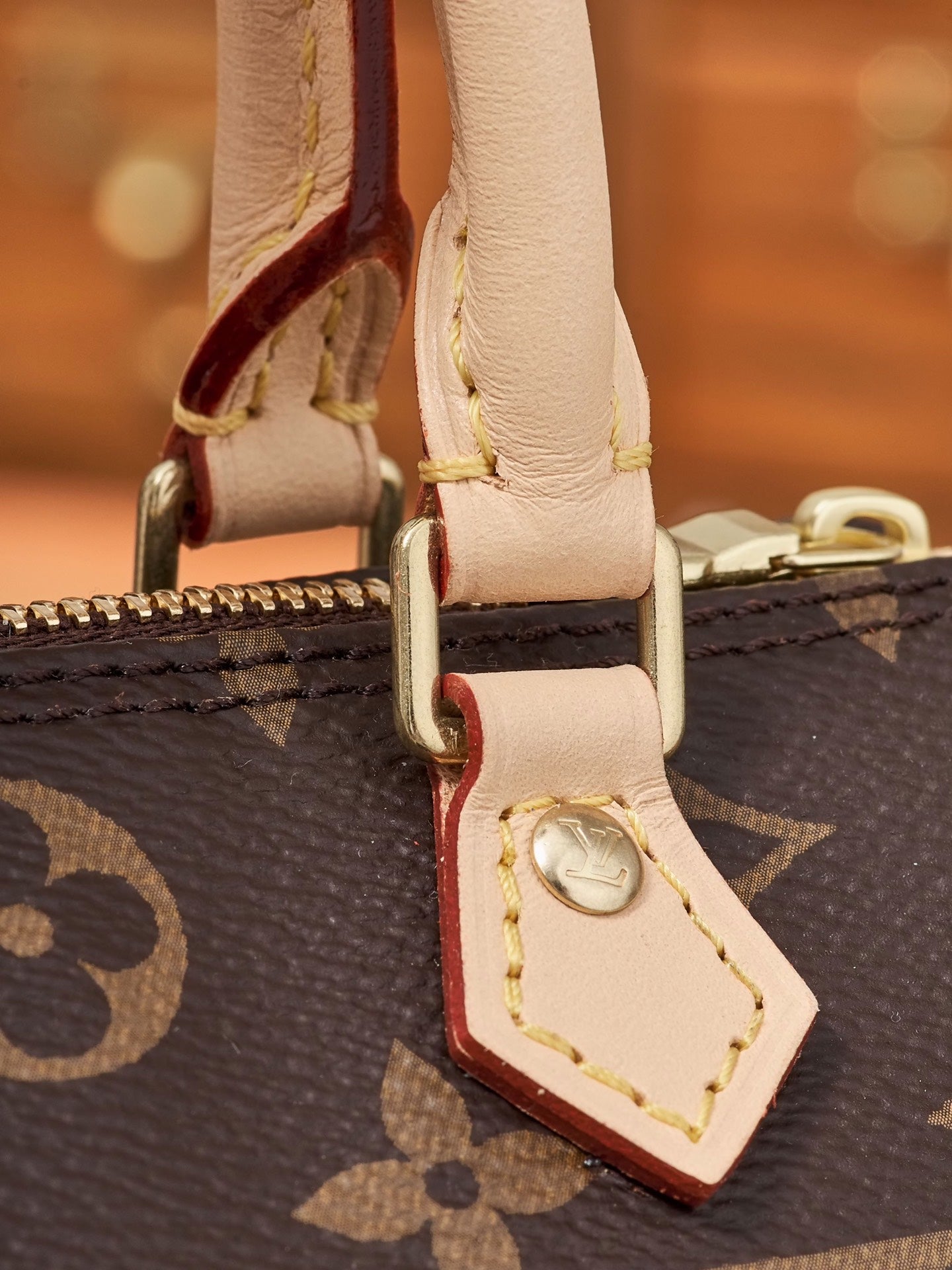 LV Bag